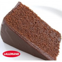 Harina p/Pastel Sabor Chocolate