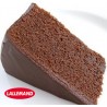Harina p/Pastel Sabor Chocolate